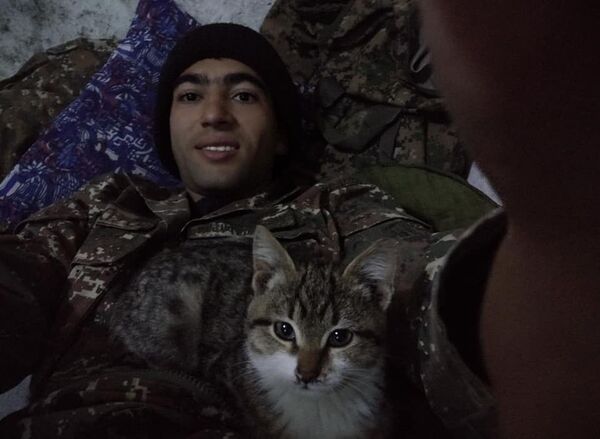 Հայկական բանակի կատուներն ու շները, կամ ինչպես է առաջնագծում փրկում ընկերությունը Հայկական բանակի կատուներն ու շները, կամ ինչպես է առաջնագծում փրկում ընկերությունը - Sputnik Արմենիա