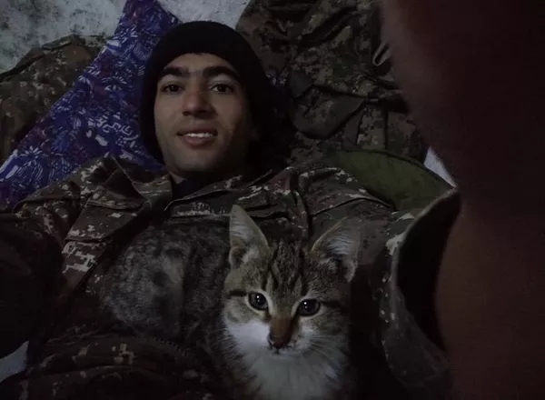 Котики и песики армянской армии, или Как спасает дружба на передовой Котики и песики армянской армии, или Как спасает дружба на передовой - Sputnik Армения