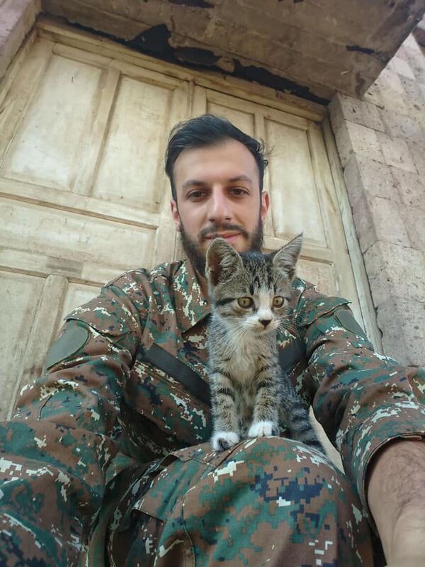 Հայկական բանակի կատուներն ու շները, կամ ինչպես է առաջնագծում փրկում ընկերությունը Հայկական բանակի կատուներն ու շները, կամ ինչպես է առաջնագծում փրկում ընկերությունը - Sputnik Արմենիա