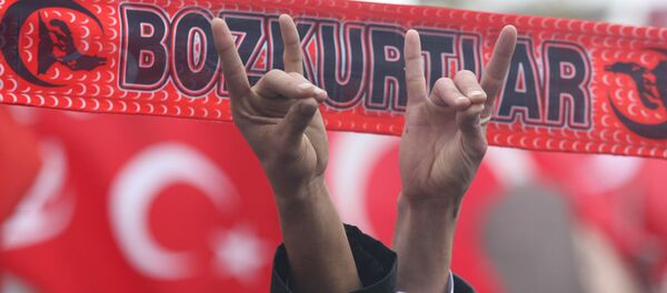 Сторонники Партии националистического движения с жестами ультранационалистической, неофашистской организации партии Серых волков (13 декабря 2009). Анкара Сторонники Партии националистического движения с жестами ультранационалистической, неофашистской организации партии Серых волков (13 декабря 2009). Анкара - Sputnik Արմենիա