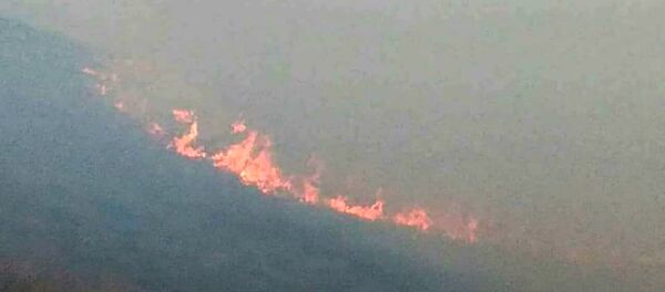 Пожары в лесных районах Карабаха после обстрелов ВС Азербайджана - Sputnik Армения