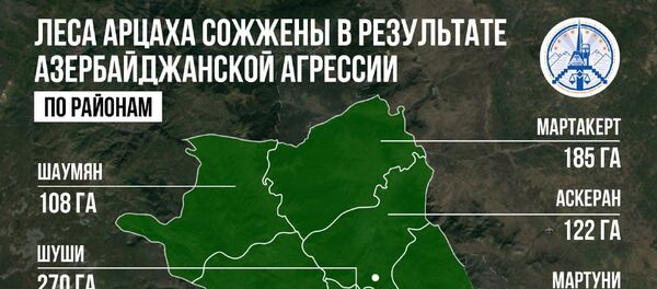 Леса Арцаха сожжены в результате Азербайджанской агрессии - Sputnik Армения