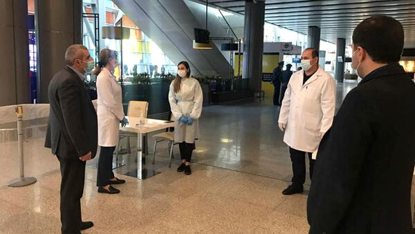 Проверка документов на отрицательный тест на Covid в аэропорту Звартноц и других пунктах пропуска на границе  - Sputnik Армения