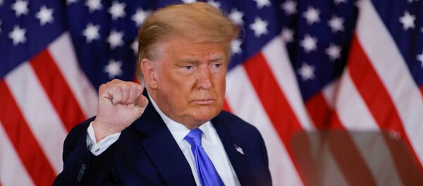 Президент США Дональд Трамп рассказывает о первых результатах президентских выборов (4 ноября 2020). Вашингтон - Sputnik Армения