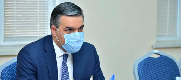 Встреча омбудсмена Армении Армана Татояна с чрезвычайным и Полномочным Послом Франции в Армении Джонатаном Лакоттом (4 ноября 2020). Еревaн - Sputnik Армения