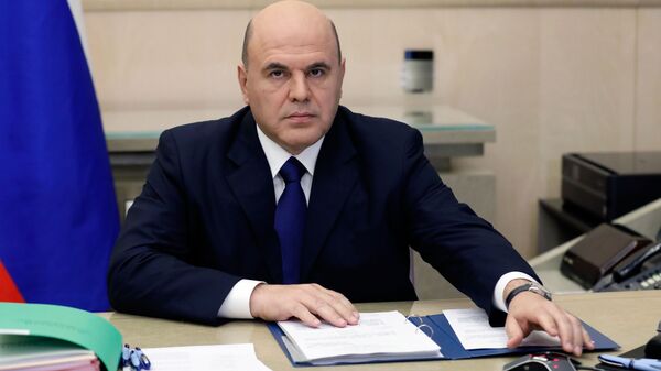 Премьер-министр РФ М. Мишустин провел заседание правительства РФ - Sputnik Армения