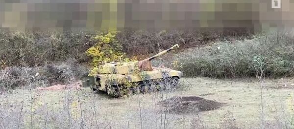 Պաշտպանության բանակի պատժիչ գործողությունները Պաշտպանության բանակի պատժիչ գործողությունները - Sputnik Արմենիա