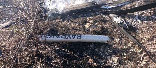 Военнослужащие Армии Обороны Карабаха сбили очередной турецкий беспилотник Bayraktar (8 ноября 2020). Карабах Военнослужащие Армии Обороны Карабаха сбили очередной турецкий беспилотник Bayraktar (8 ноября 2020). Карабах - Sputnik Արմենիա