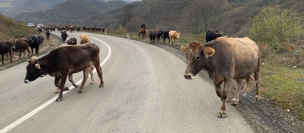 Вслед за миротворцами в Карабах возвращается мирная жизнь - Sputnik Армения