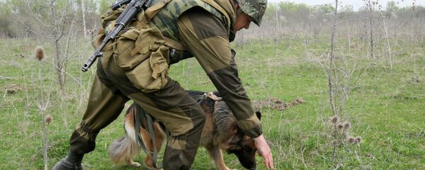 Вожатый собак минно-розыскной службы 17-й отдельной мотострелковой бригады - Sputnik Արմենիա