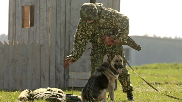 Сапер со служебной собакой во время показных боевых занятий - Sputnik Արմենիա