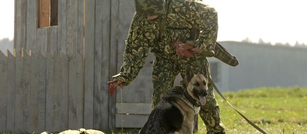 Сапер со служебной собакой во время показных боевых занятий - Sputnik Արմենիա