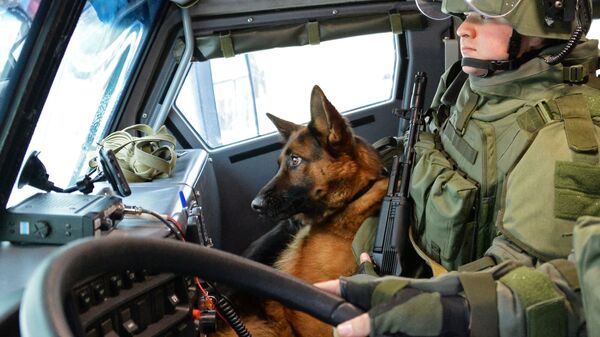 Военнослужащий и собака минно-розыскного расчета инженерных войск Вооруженных Сил РФ  - Sputnik Արմենիա