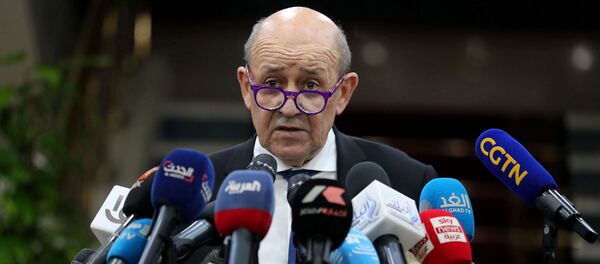 Министр иностранных дел Франции Жан-Ив Ле Дриан во время пресс-конференции с великим имамом египетского Аль-Азхара (8 ноябрь 2020). Каир - Sputnik Армения