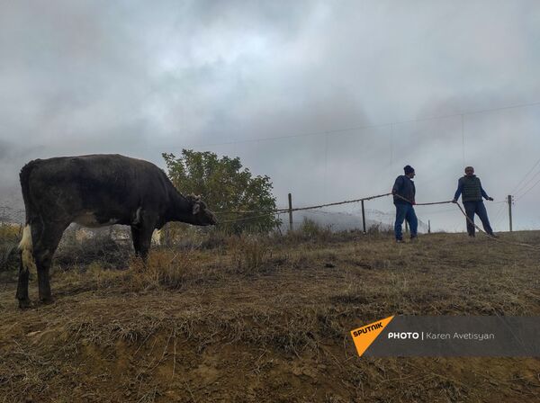 Дом там, где мы: Новая Марага, день последний - Sputnik Армения