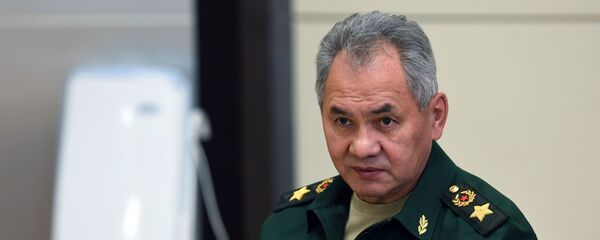 Министр обороны РФ Сергей Шойгу на совещании президента РФ с руководством Министерства обороны РФ и предприятий ОПК (10 ноября 2020). Сочи - Sputnik Армения