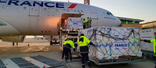 Самолет из Франции с медицинским оборудованием и лекарствами для карабахцев, временно проживающих а Армении (22 ноября 2020). Еревaн - Sputnik Армения