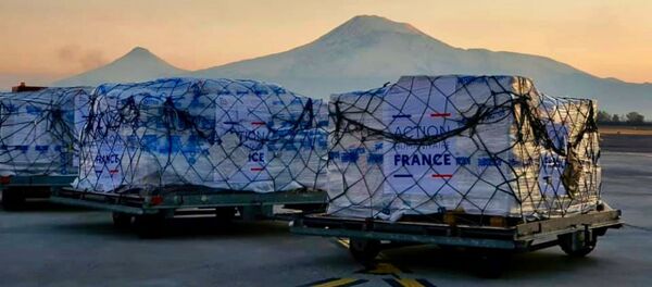 Самолет из Франции с медицинским оборудованием и лекарствами для карабахцев, временно проживающих а Армении (22 ноября 2020). Еревaн - Sputnik Армения