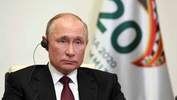 Президент РФ В. Путин принял участие в саммите Группы двадцати - Sputnik Армения