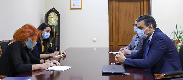 Омбудсмен Арман Татоян провел рабочее обсуждение с заместителем регионального директора организации Human Rights Watch по Европе и Центральной Азии Таней Локшиной (27 ноября 2020). Еревaн - Sputnik Արմենիա