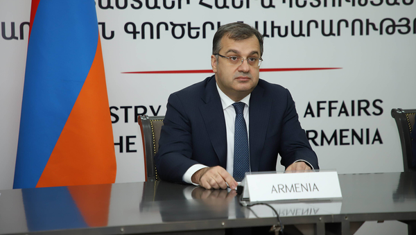 Заместитель министра иностранных дел Армении Артак Апитонян принял участие в 37-м онлайн-заседании министерской конференции Франкофонии (24 ноября 2020). Еревaн - Sputnik Армения