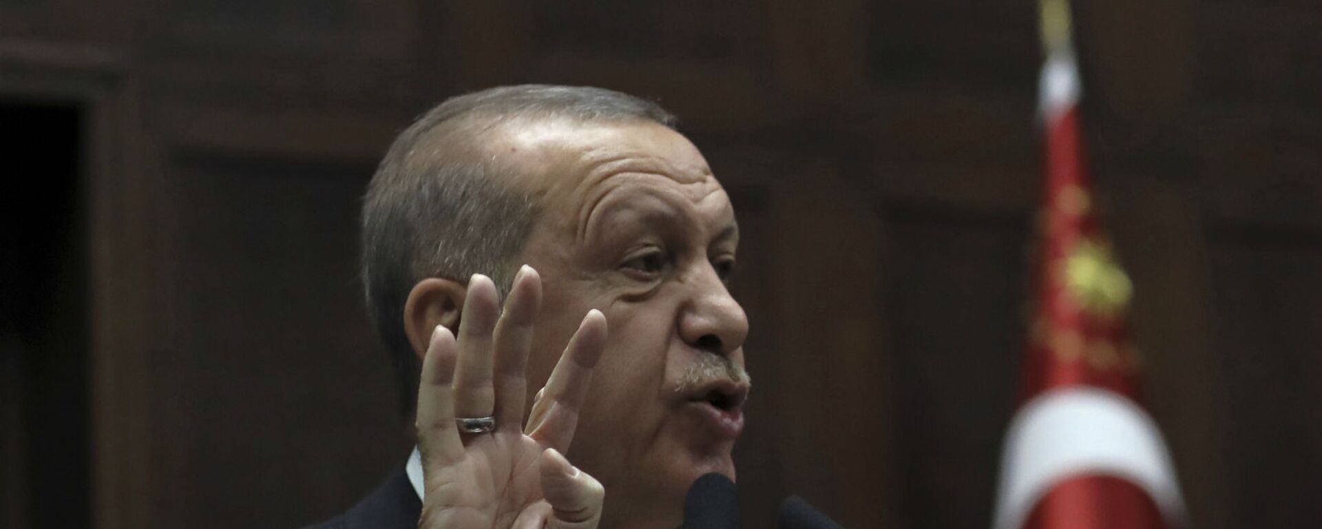 Президент Турции Реджеп Тайип Эрдоган обращается к законодателям своей правящей партии в парламенте (5 ноября 2020). Анкара - Sputnik Армения, 1920, 07.04.2021