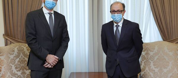 Встреча министра иностранных дел РА Ара Айвазяна с представителями Международного комитета Красного Креста (2 декабря 2020). Еревaн - Sputnik Армения