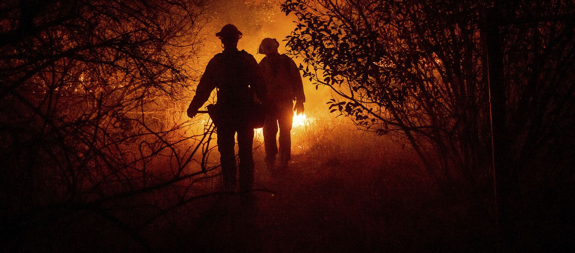 Пожарные борются с лесным пожаром в округе Ориндж, Калифорния - Sputnik Армения, 1920, 07.08.2021