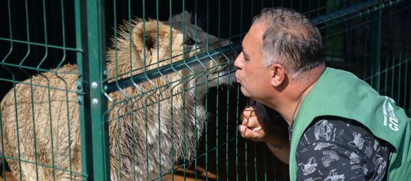 Челябинский зоозащитник Карен Даллакян и львенок Симба Челябинский зоозащитник Карен Даллакян и львенок Симба - Sputnik Արմենիա