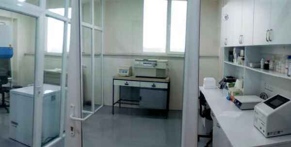 Новая лаборатория в Армении расширит исследования лекарств от вирусов Новая лаборатория в Армении расширит исследования лекарств от вирусов - Sputnik Армения