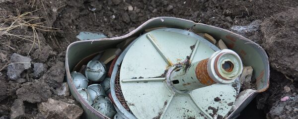 В течение дня саперы МЧС произведут уничтожение оружия и боеприпасов, обнаруженных в общинах Хнацах, Айгестан и в окрестностях города Мартакерт (11 декабря 2020). Карабах - Sputnik Армения