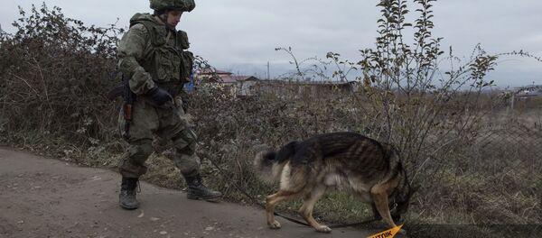 Специалист Международного противоминного центра Минобороны России во время выполнения задач по разминированию местности вблизи Степанакерта (8 декабря 2020). Карабах Специалист Международного противоминного центра Минобороны России во время выполнения задач по разминированию местности вблизи Степанакерта (8 декабря 2020). Карабах - Sputnik Արմենիա