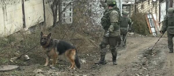 Разминирование территорий частных домов в Степанакерте Разминирование территорий частных домов в Степанакерте - Sputnik Արմենիա