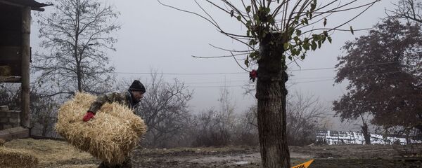 Мужчина перекладывает сено на одной из улиц в селе Тагавард Мартунинского района (11 декабря 2020). Карабах Мужчина перекладывает сено на одной из улиц в селе Тагавард Мартунинского района (11 декабря 2020). Карабах - Sputnik Արմենիա
