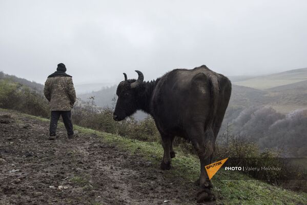 Мужчина на одной из улиц в селе Тагавард Мартунинского района (11 декабря 2020). Карабах - Sputnik Армения