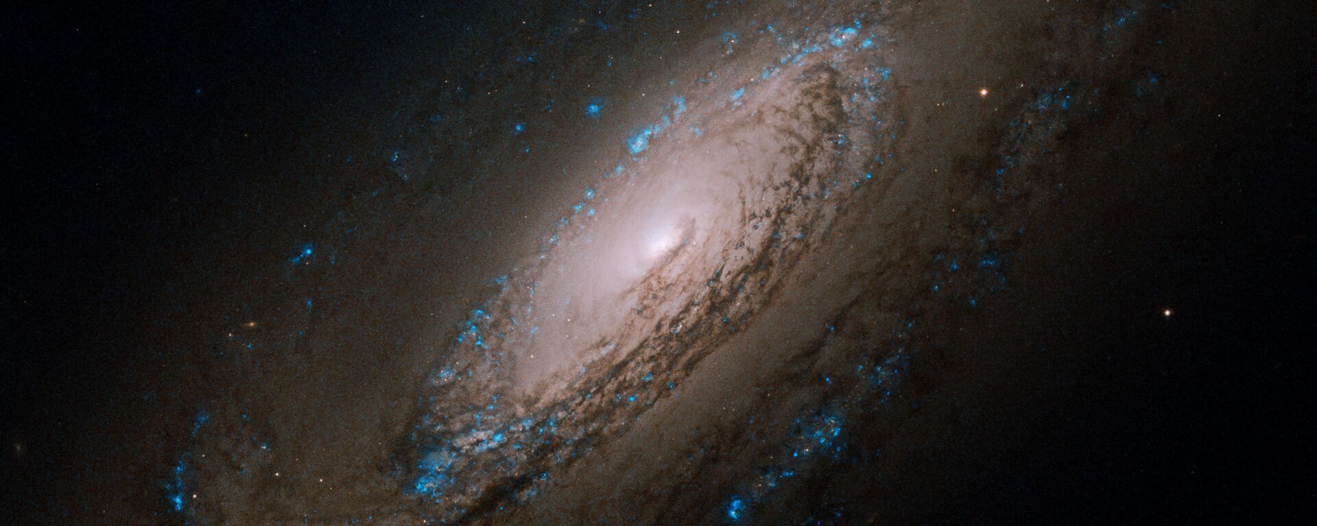 Галактика NGC 5005 в созвездии Гончие Псы - Sputnik Армения, 1920, 16.08.2023