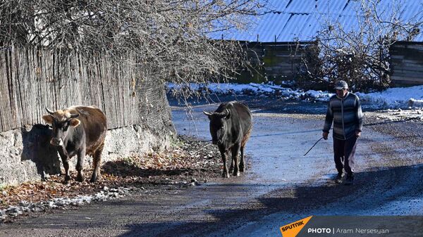 Դավիթ Բեկ. արխիվային լուսանկար - Sputnik Արմենիա