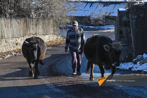 В сельской школе практически не осталось детей, жители приграничного Давид-Бека напуганы - Sputnik Армения