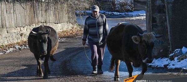 Село Давид Бек (19 декабря 2020). Сюник Село Давид Бек (19 декабря 2020). Сюник - Sputnik Армения