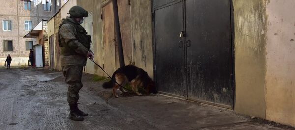 Сапер Центра гуманитарного разминирования во время работы (20 декабря 2020). Степанакерт - Sputnik Արմենիա