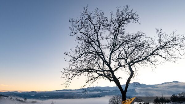 Ձմեռային տեսարան - Sputnik Արմենիա