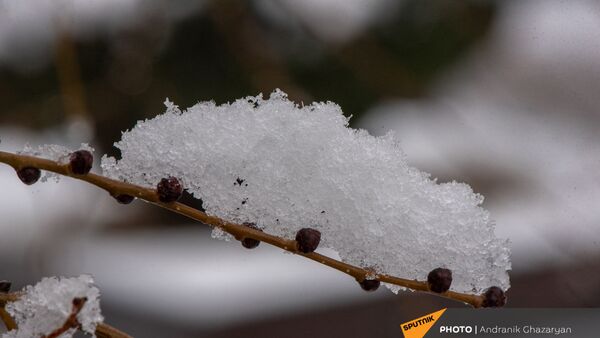 Արխիվային լուսանկար - Sputnik Արմենիա