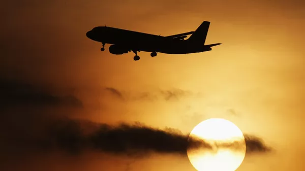 Самолет Airbus-320 в аэропорту Домодедово - Sputnik Армения