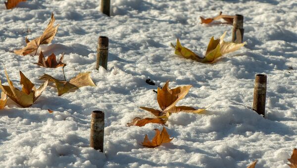 Опавшие листья на снегу - Sputnik Армения