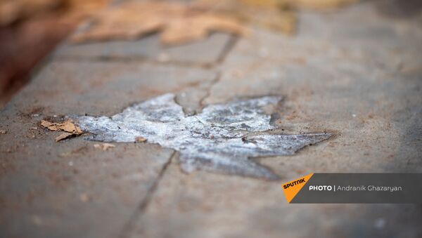 Ледяной отпечаток кленового листа на тротуаре  - Sputnik Արմենիա
