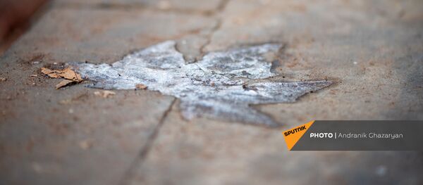 Ледяной отпечаток кленового листа на тротуаре Ледяной отпечаток кленового листа на тротуаре - Sputnik Արմենիա