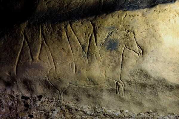 Настенные рисунки в пещере Фонт-Мажор в Испании  - Sputnik Армения