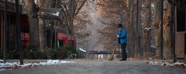 Дворник за работой в ереванском парке - Sputnik Արմենիա