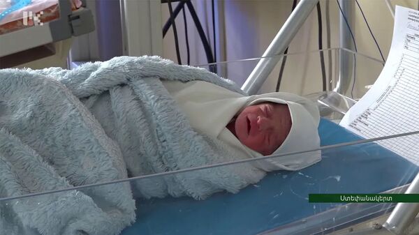 В первые дни нового года в Карабахе появились на свет 11 малышей В первые дни нового года в Карабахе появились на свет 11 малышей - Sputnik Армения