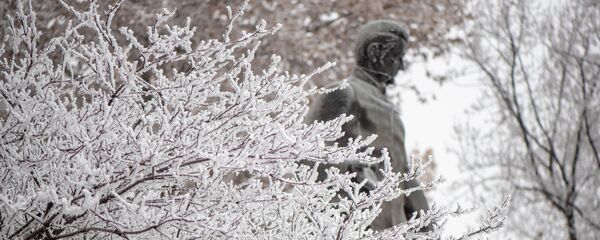 Покрытые инеем деревья у памятника Грибоедову в Ереване Покрытые инеем деревья у памятника Грибоедову в Ереване - Sputnik Армения
